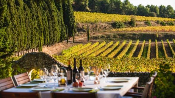 Table dressée avec des vignes en toile de fond